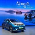 我的相册