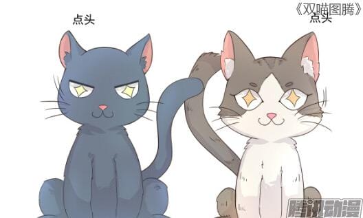˫��ͼ��1.jpg