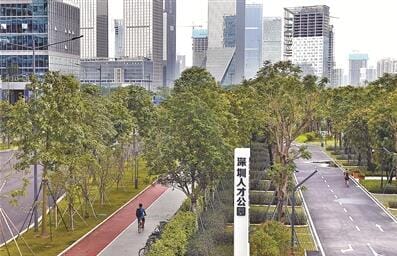 深圳人才公园10月开园 目前绿化铺装大面积完成