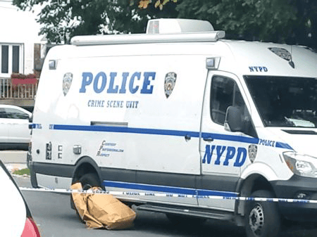 ����֮��������ɩ����1384.png